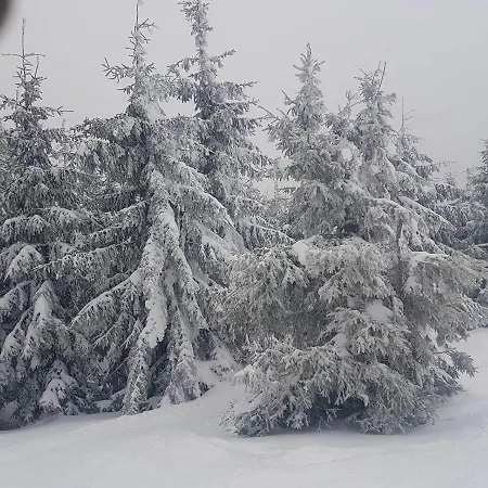 Nad Bystrzykiem - Lejlighed *