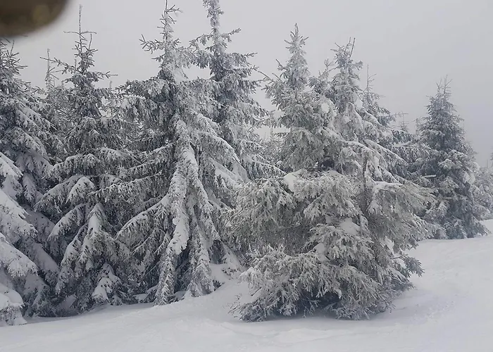 Nad Bystrzykiem - 아파트 *